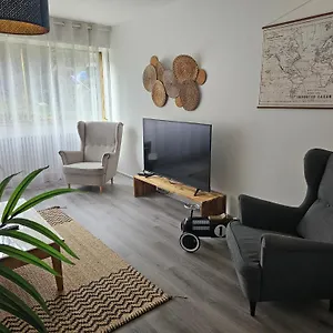 F4 Rue Borie Appartement Saint-Etienne (Loire)